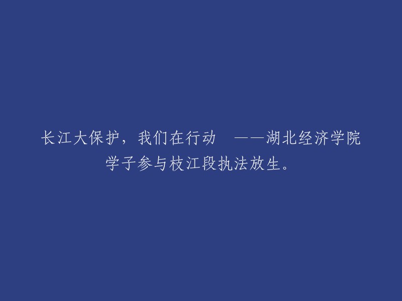 积极保护长江，湖北经济学院学生助力枝江段执法放生活动"