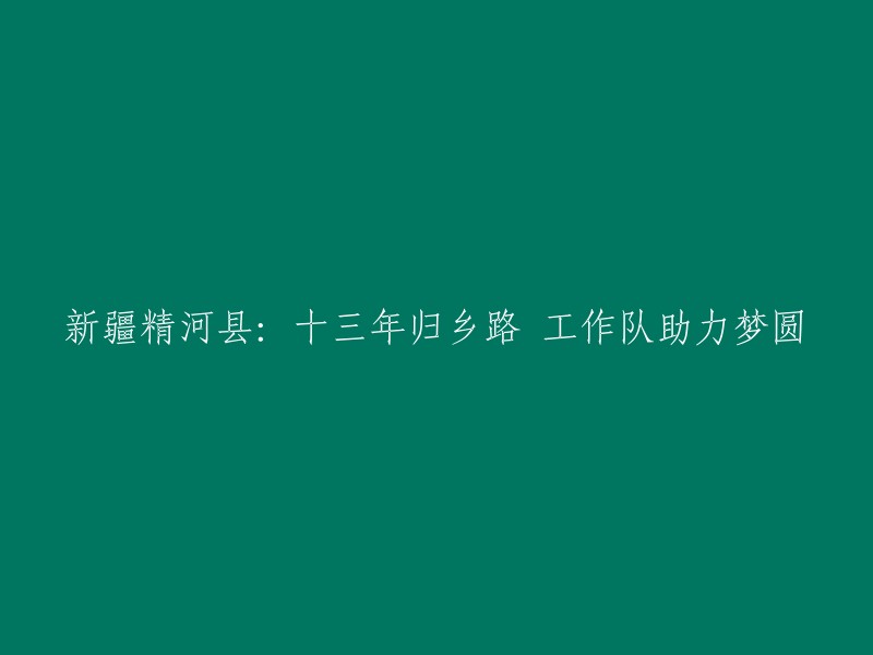 新疆精河县：十三年的归乡之旅，工作队助力梦想成真