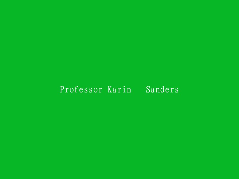 Professor Karin Sanders: An Insight into her Contributions to the Field of (Insert Subject)