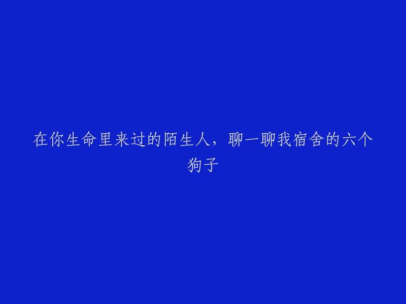 与你生命中的陌生人交流：谈谈我宿舍里的六只狗狗