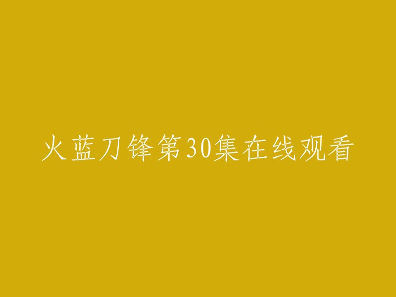 《火蓝刀锋》第30集在线观看"