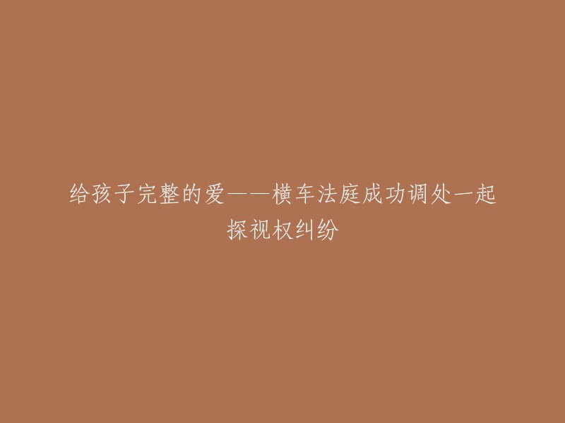 为孩子提供全面关爱：横车法庭成功解决探视权争议案"