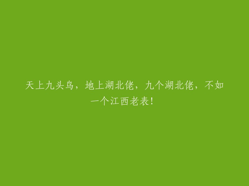 九头天鸟翱翔于天际，湖北英勇豪杰遍布大地，九位湖北好汉，不敌一位江西老友！