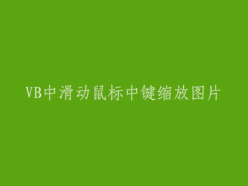 在VB中，使用鼠标中键缩放图片