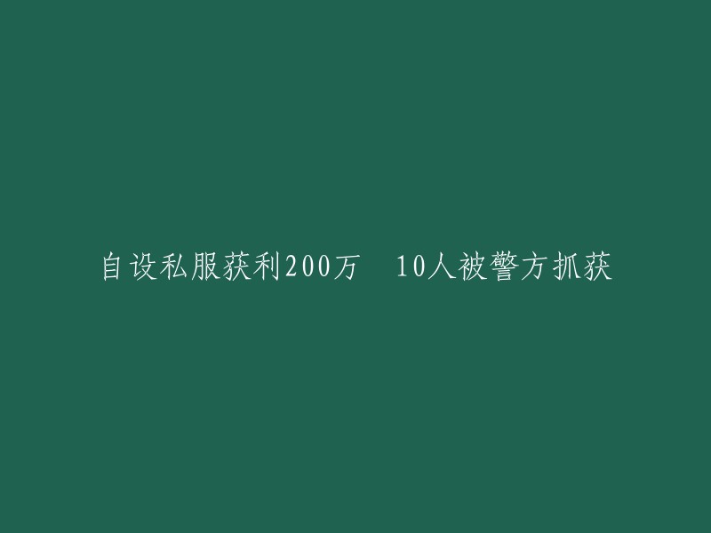 由私人服务器创造的200万收入，导致10人被捕的案件"