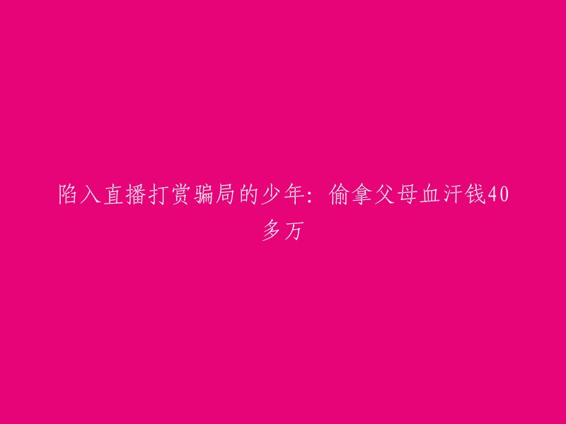 少年陷入直播打赏骗局：盗取父母辛勤汗水40多万元