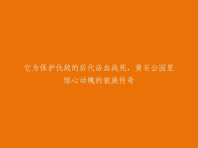 狼族传奇：黄石公园里的守护者，为保护后代英勇奋战