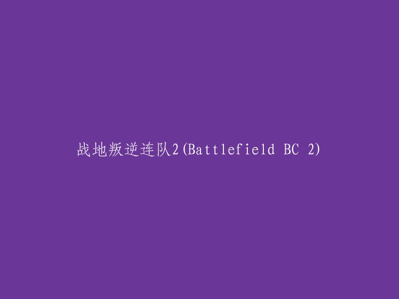 Battlefield BC 2:叛逆连队的战争之旅"