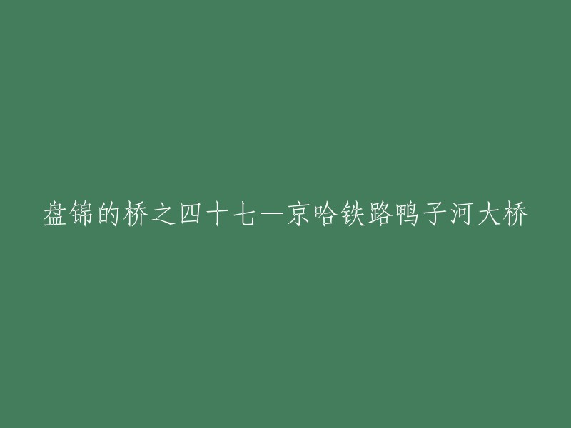 您好，根据我的搜索结果，盘锦的桥之四十七是京哈铁路鸭子河大桥。  该桥跨越了辽河流入盘锦境内至入海口116公里长的河道，全长5054.4米，其中18号至21号墩跨越宝成铁路，设计为228米长的一联三跨连续箱。