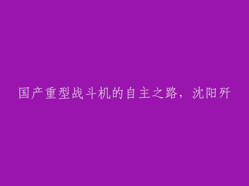 国产重型战斗机的自主之路，沈阳歼。沈阳J-11(中文：歼-11),北约名称为Flanker-L“侧卫L”，是双引擎喷气式战斗机，其机身基于苏联设计的苏霍伊Su-27空中优势战斗机。 它目前由沈阳飞机公司制造。