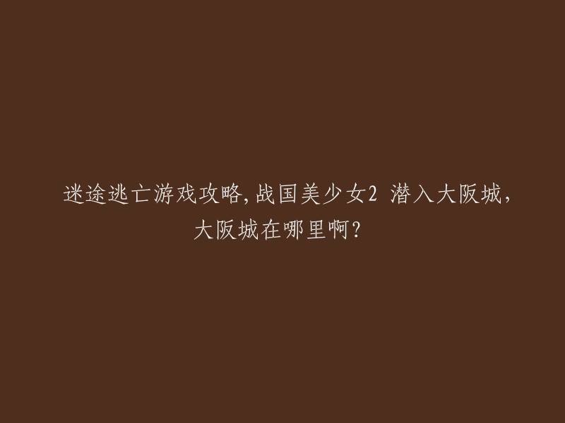 大阪城位于日本大阪市中央区，是日本历史上的重要城堡之一。