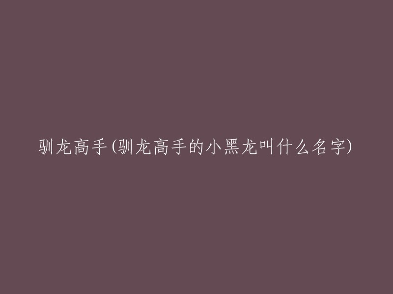 您想了解《驯龙高手》中小黑龙的名字吗？小黑龙的名字是Nico(尼科)。如果您有其他问题，请告诉我。