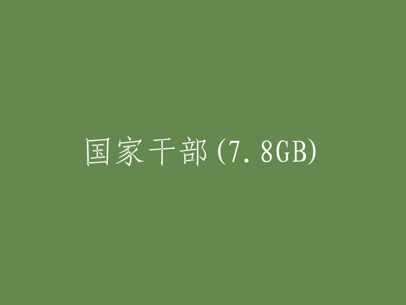 国家干部资料(78GB)"