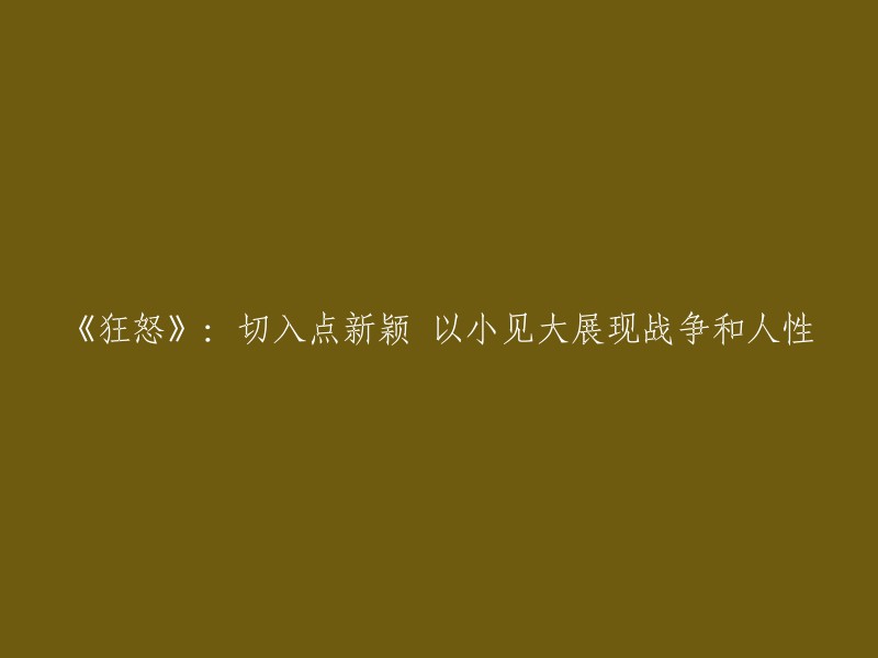 《狂怒：新颖视角下的战争与人性》：从微观角度揭示战争的宏大与人性的复杂