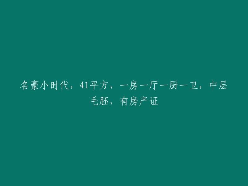 名豪小时代：41平方米，一室一厅一厨一卫中层毛坯房，带有效房产证"