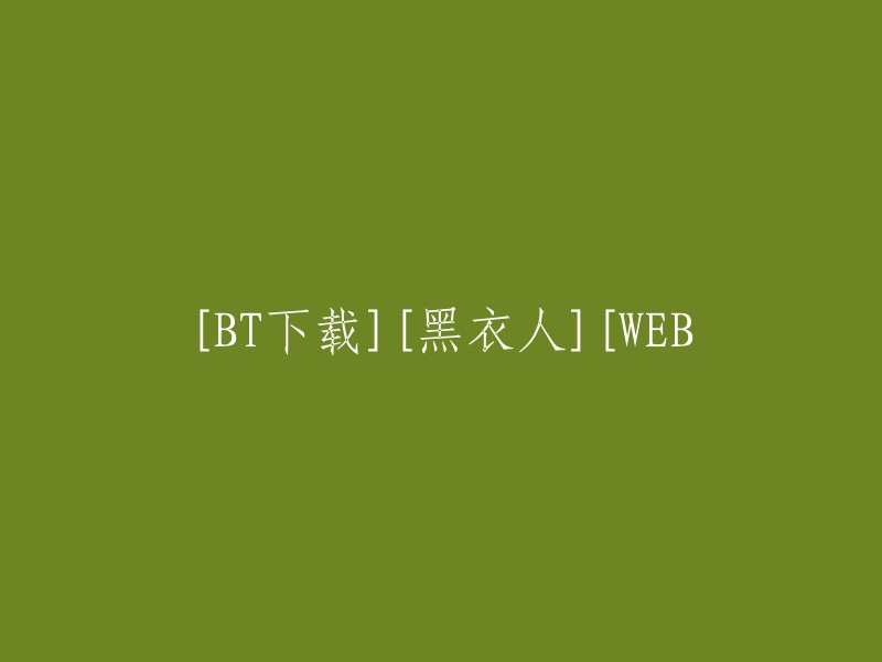 [BT下载]黑衣人[WEB版