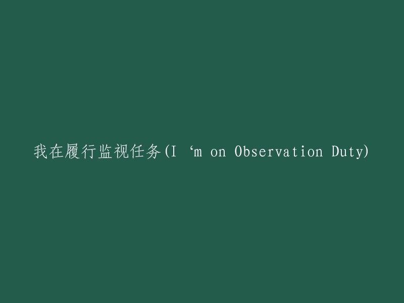 我在执行监视任务(On Observational Duty)"