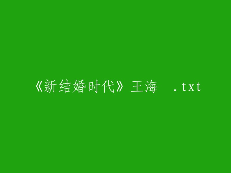 《新婚时代》王海鸰  txt