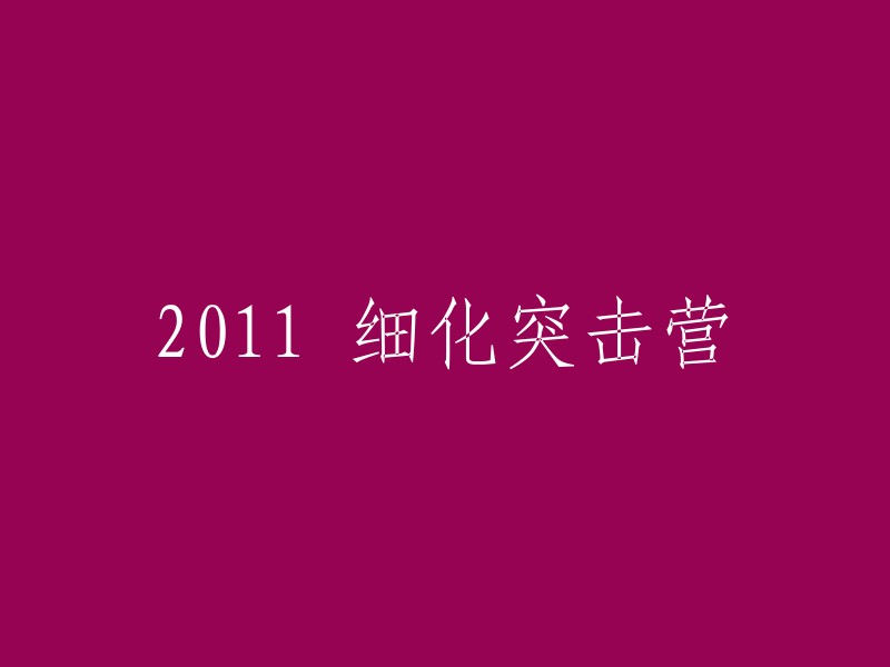 011年精细化突击营详细概述