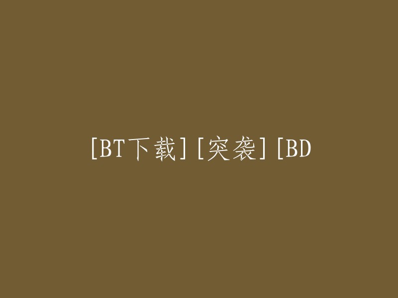 [BT下载][电影突袭][高清BD版]