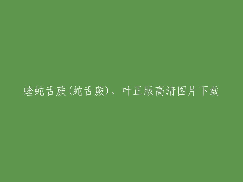 您好，蝰蛇舌蕨(蛇舌蕨)是一种常见的植物，叶子的形状类似于蛇舌。以下是我找到的一些高清图片下载网站，您可以在这些网站上下载您需要的图片：   