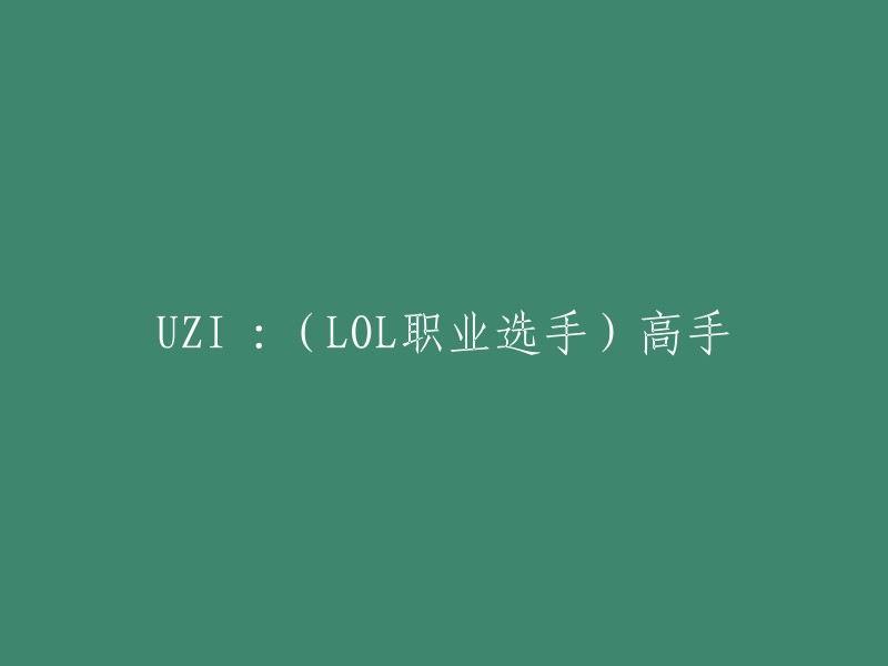 ZI是英雄联盟职业选手，司职ADC。他曾获得过两次S赛亚军，是如今英雄联盟LPL赛区身价最高的选手之一。他在职业生涯中使用过的英雄有很多，其中维鲁斯是他职业生涯中胜率最高的英雄之一，一共出场40次，胜率高达70%。