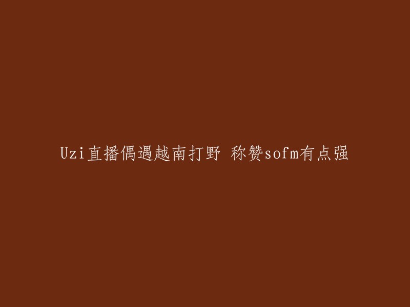 zi在直播中偶遇越南打野选手SofM,并称赞他有点强。