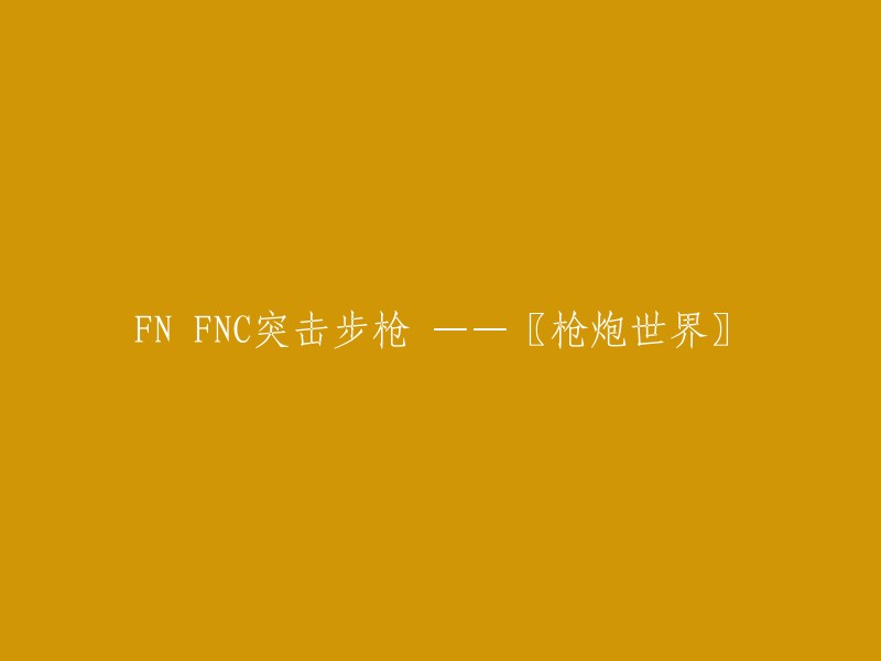 FN FNC突击步枪 ——【枪械世界】