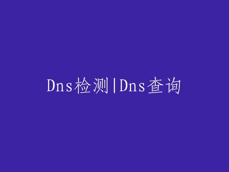 DNS检测与查询