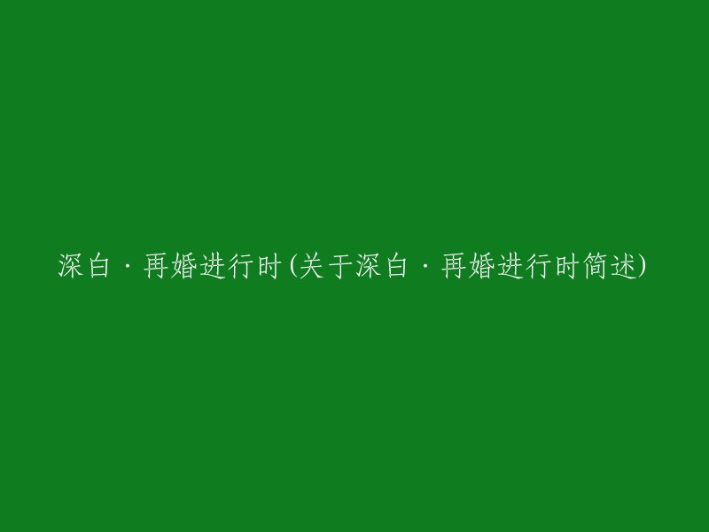 深白·再婚进行时：探讨其背景和主要特点