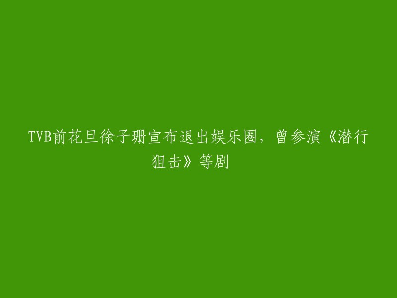 徐子珊，前TVB花旦，宣布退出娱乐圈，参演过《潜行狙击》等剧