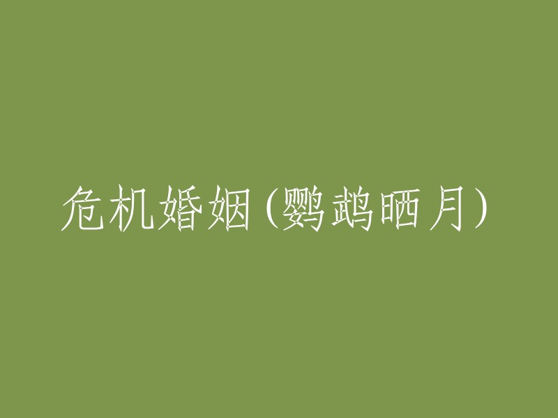 鹦鹉晒月下的危机婚姻：一段感情的挣扎与反思"