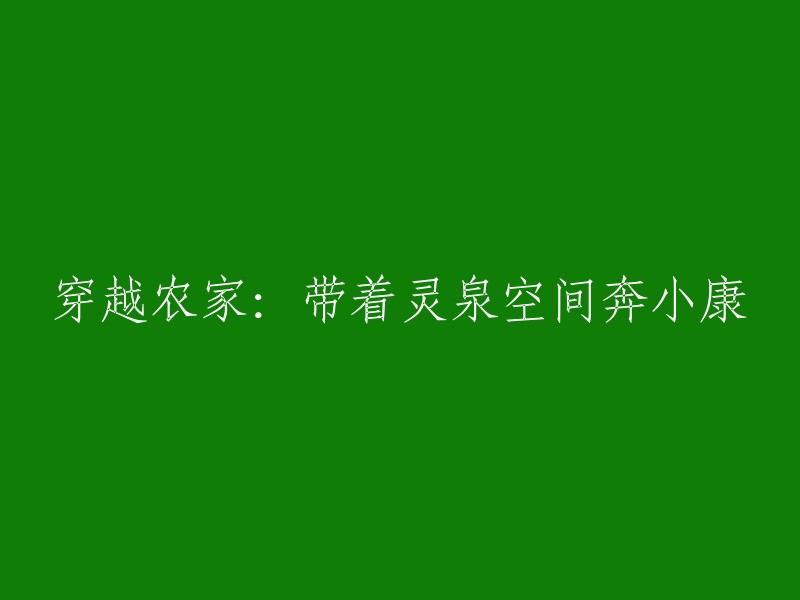 穿越田园时光：借助灵泉空间迈向小康生活