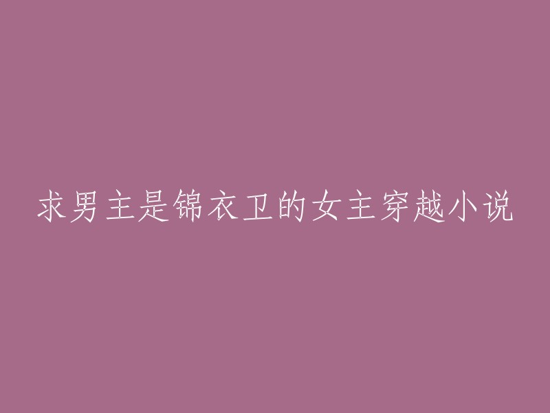 寻找男主角为锦衣卫的女主角穿越小说