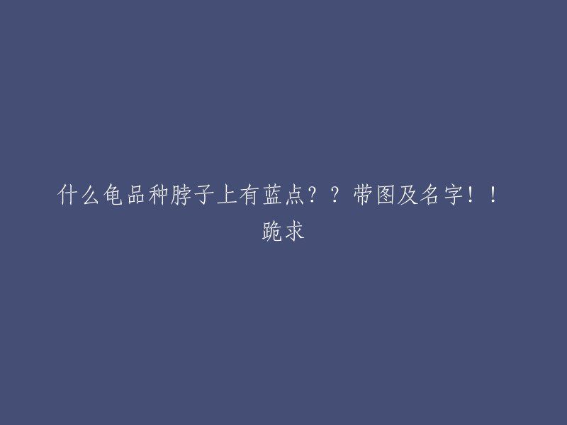 根据您的描述，我找到了一些关于乌龟脖子上蓝点的信息。但是，由于您没有提供更多信息，我无法确定您所寻找的龟品种。以下是我在网上找到的一些关于乌龟脖子上有蓝点的品种：

- 红耳龟
- 黄头侧颈龟
- 三线闭壳龟