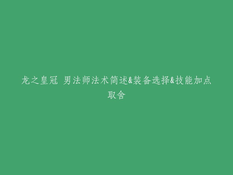 男法师的龙之皇冠：法术概述、装备推荐与技能点分配指南