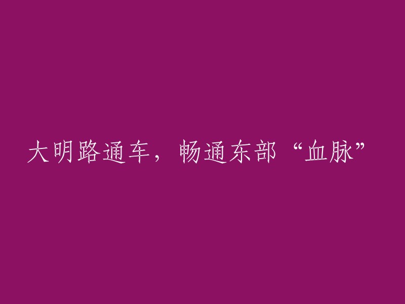 大明路的竣工，为东部地区交通带来了活力与畅通