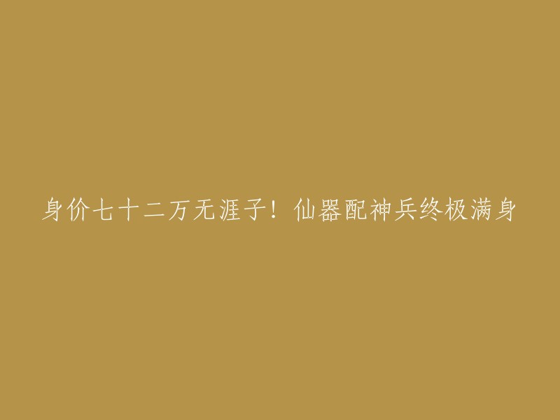 价值72万元的无涯子仙器搭配神兵，达到终极满身效果！