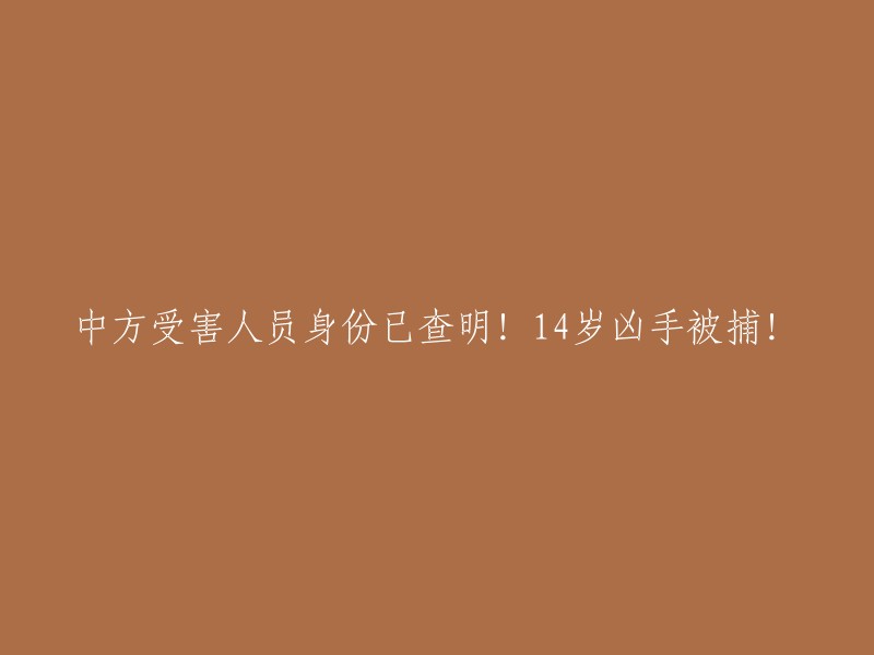 已确定中方受害者身份！14岁少年犯罪嫌疑人被逮捕！