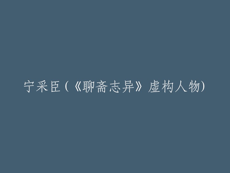 宁采臣是蒲松龄小说集《聊斋志异》中《聂小倩》一篇的男主人公。他为人慷爽正直，帮助聂小倩逃离魔掌，并收留她侍奉母亲和久病的妻子 。