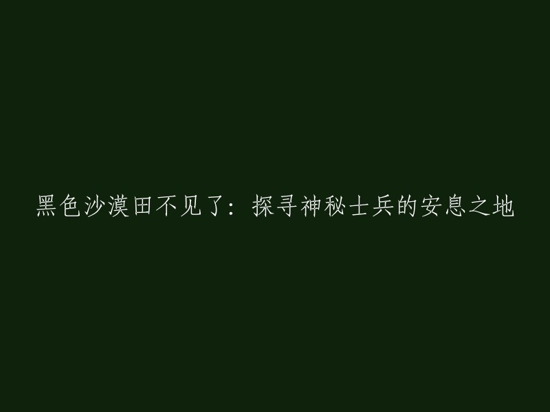 寻找神秘士兵遗址：黑色沙漠中的失踪农田