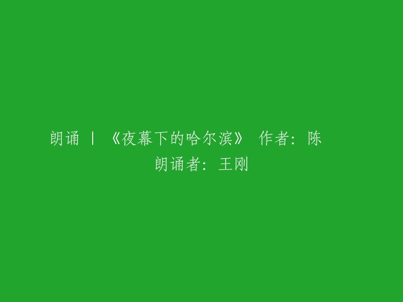 重新构思标题：《夜晚的哈尔滨》——陈玙诗作，王刚倾情朗诵