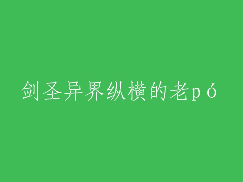 剑圣在异界的无尽冒险与老pó的传奇故事