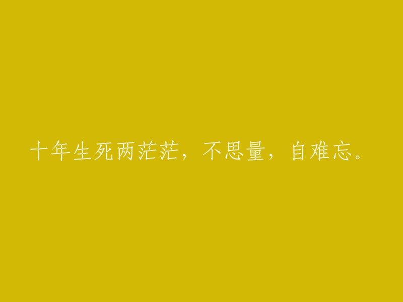 十年漫长岁月，生与死交织茫茫，不经意间，却难以忘怀。"