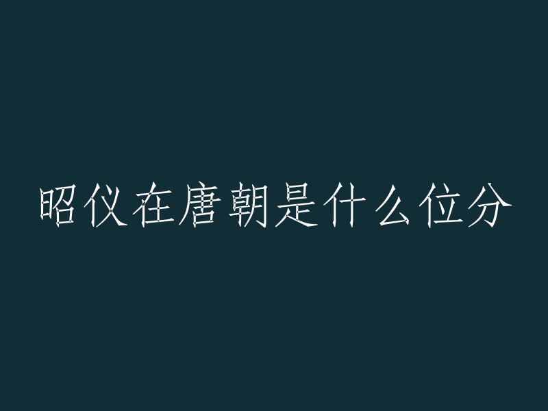 昭仪在唐朝是九嫔之首，地位仅次于四妃。  