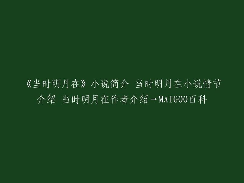 《当时明月在》是一部中国言情小说，作者是琅琊月。小说讲述了夜玥和陆清晨之间的爱情故事。 

以下是小说的情节介绍：
- 夜玥是一个有着神秘身世的女孩，她与陆清晨相遇后，两人开始了一段感情之旅。
- 两人在一起的过程中，经历了许多波折和磨难，但最终还是走到了一起。