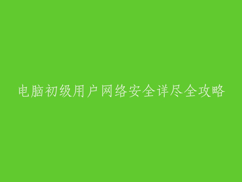 电脑初级用户网络安全全面指南