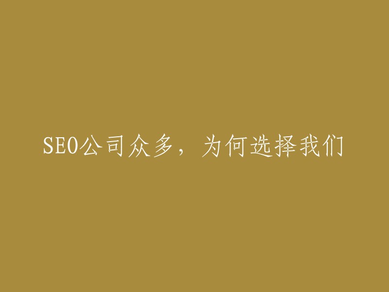 众多SEO公司中，为何选择我们？