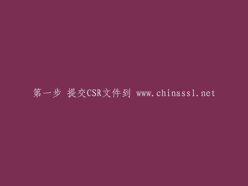 将CSR文件递交至 www.chinassl.net 的步骤