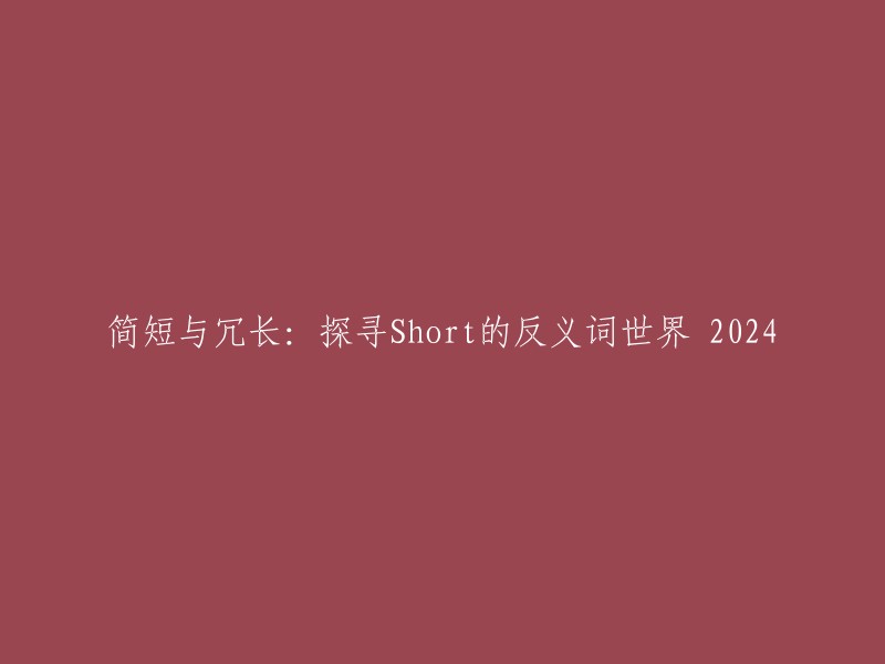 探索Short的对立面：2024年探究冗词世界